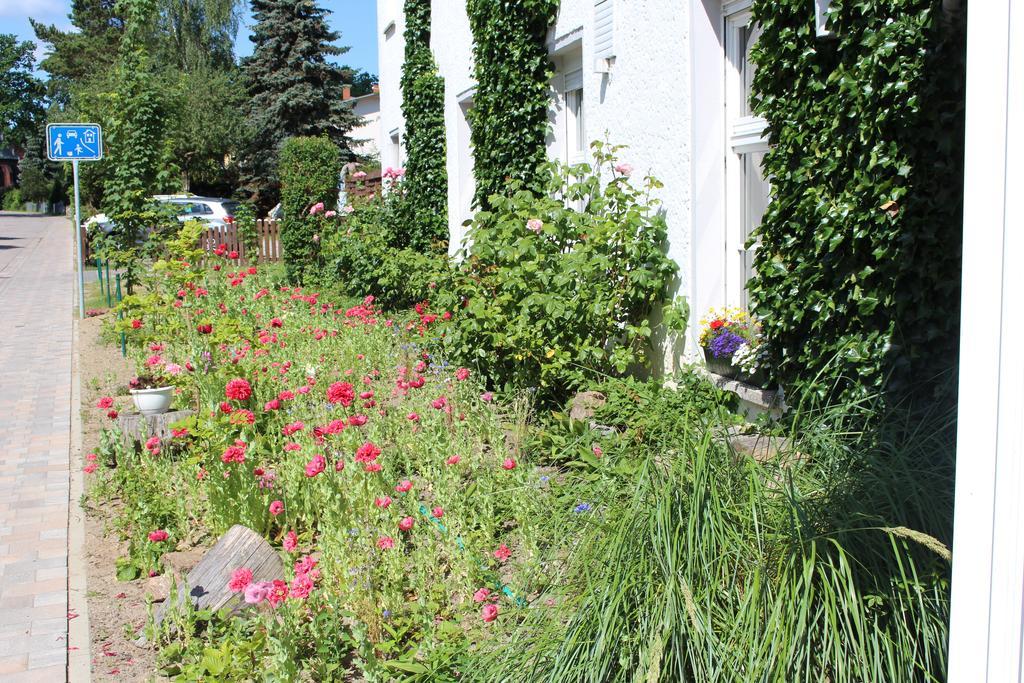Baltisches Haus Pension Moll Zinnowitz Bagian luar foto